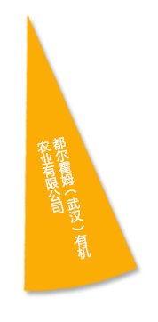 币游国际·(中国)最新官方网站
