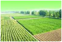 币游国际·(中国)最新官方网站