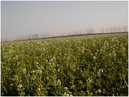 币游国际·(中国)最新官方网站