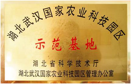 币游国际·(中国)最新官方网站