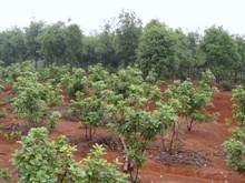 币游国际·(中国)最新官方网站