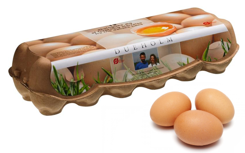 币游国际·(中国)最新官方网站