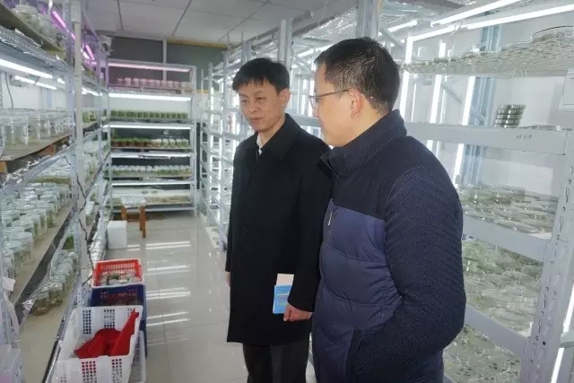 币游国际·(中国)最新官方网站